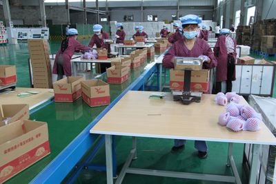 牛村 掘金农副产品加工全产业链，包装焕新助力乡村振兴