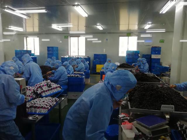 余杭区蜜饯行业协会组织会员企业参观包装，引领产业升级新风尚